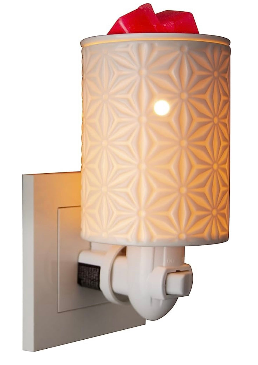 Plug in Warmer w/ Wax Melts